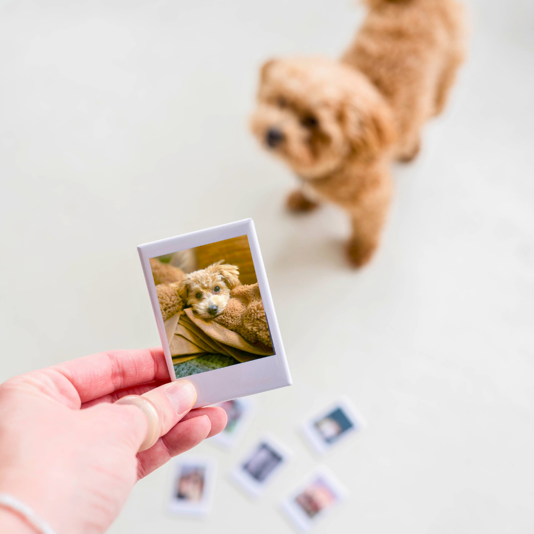 Custom Polaroid Photo Magnets Gifts